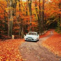 car on a forest path. Beautiful road in mountains. Carpathian photo