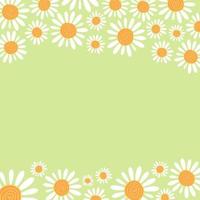 Spring Garden Daisy Floral Border vector