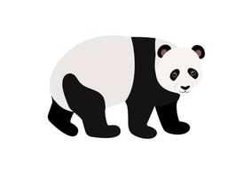 Vector illustration of cartoon panda isolated on white background