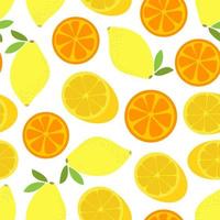 Citrus fruit ector seamless pattern vector