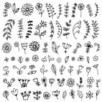 Large collection of doodle flowers and leaves