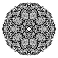 mandala de flores zentangle vector