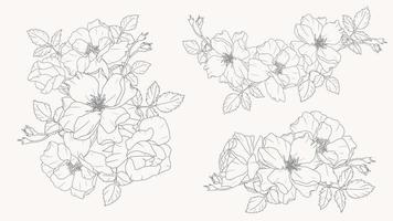 doodle line art rose flower bouquet elements collection vector