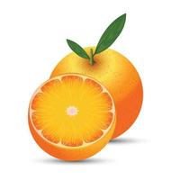 vector naranja realista