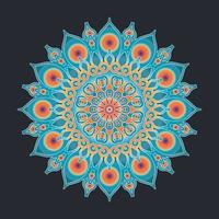 decorative concept abstract mandala illustration. vector