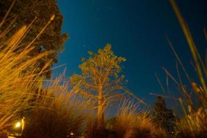 paisaje nocturno hermoso natural con estrellas en la noche. foto