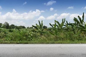 Horizontal view of Asphalt road in Thailand. Front ground of green grass. wind that swept the banana trees vigorously. and background of plantation and trees. Under the blue sky. photo