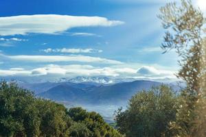 Sierra Nevada as seen from the olive groves in the Llano de la Perdiz in Granada