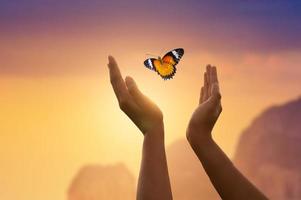 The girl frees the butterfly from  moment Concept of freedom photo