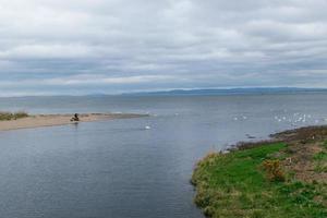 Unidentified men having lunch and watching swan and seagull in water photo