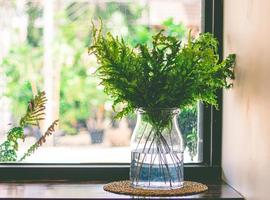 hojas de helecho verde en un jarrón de cristal decoran la siguiente ventana de cristal foto