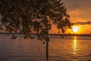 silueta de árbol al atardecer. sol dorado puesta de sol reflejada en la superficie del agua