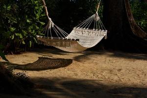 A white rope hammock hanging between the trees photo