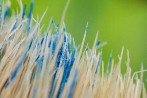 Close up Paint brushes where the blue paint has dried on. photo