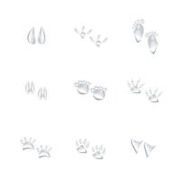 water drop in animal foot print shape on white background vector