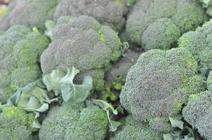 Broccoli plant in the cabbage family, with large edible flower h photo