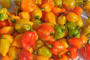 Red peppers vegetables photo