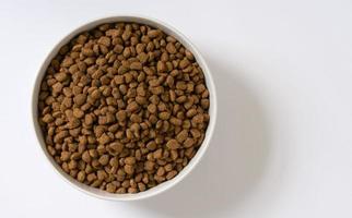 Cat Food in a Bowl photo