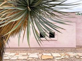 Southwestern Foliage and Architecture photo