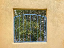 Southwestern Foliage and Architecture photo