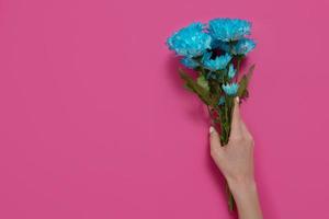 Blue flowers and woman holding hand isolated on pink background. Woman and mother day. Summer concept mock up and copy space. Top view. Flower nature and spring season