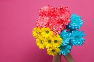 Blue flowers and woman holding hand isolated on pink background. Woman and mother day. Summer concept mock up and copy space. Top view. Flower nature and spring season. Selective focus photo