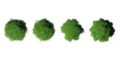 3D tree top view isolated on white background, for use visualization in architectural design photo