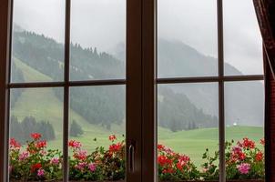 Window view of beautiful flowers on the sill and forested mountains on a foggy day photo
