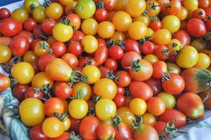 Cherry tomato vegetables photo