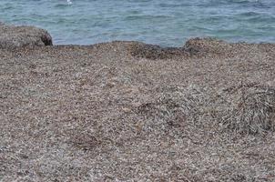 The beach in Trapani photo