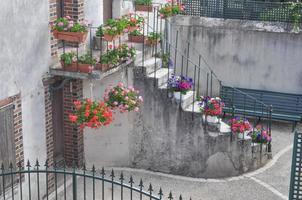 Flowers on a staircase photo