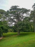 Gardens in Caserta photo