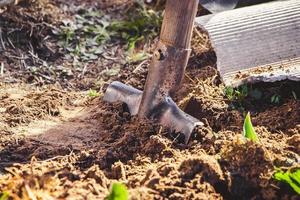 cavando tierra con pala de mano. jardinería y plantación de semillas en primavera. vida rural, agricultura.