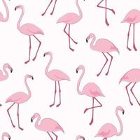 Seamless pattern with flamingo birds. Vector graphics.