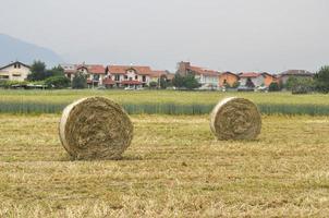 fardo de heno en el campo foto