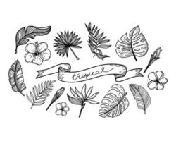 A set of silhouettes of tropical elements of tropical strelitzia flower, hibiscus, monster leaves, etc. The tropical lettering is hand-drawn in ribbon. Hand-drawn doodle-style elements on white vector