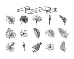 A set of silhouettes of tropical elements of tropical strelitzia flower, hibiscus, monster leaves, banana leaves, etc. Hand-drawn sketch style doodle on white background. Hand-drawn tropical vector