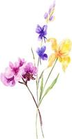 Watercolor bouquet of spring flowers.Decoration isolated on white background, bouquet of wild composition. vector