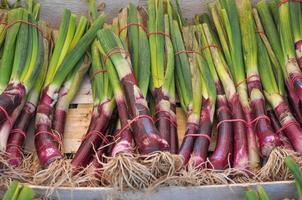 verduras cebollas rojas foto