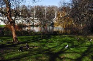 St James Park in London photo