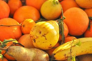 Many different fruits including pear orange banana photo