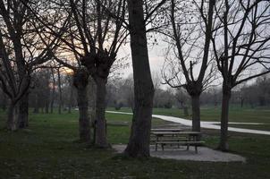 Public park in Riccione photo