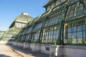 palmenhaus schoenbrunn en viena foto