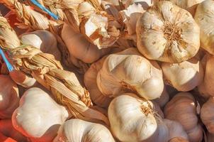 Garlic vegetables healthy vegetarian food cuisine photo