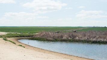 Lake at Villafafila, with a pied stilt. Wellknown spot for bird watching. Zamora, Spain, photo