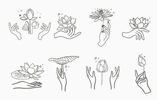 Black lotus flower outline Vector illustration for icon,sticker,printable and tattoo