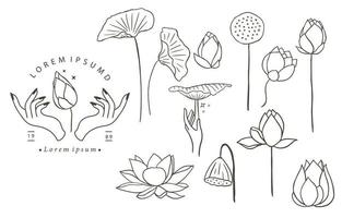 contorno de flor de loto negro.ilustración vectorial para icono, adhesivo, imprimible y tatuaje vector