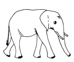 Hand-drawn simple vector illustration in black outline. Big elephant in full growth side view. Wild animal, jungle, safari, zoo, nature. Sketch in ink. For prints, children's coloring.