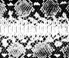 Vector snake skin background. Black and white texture