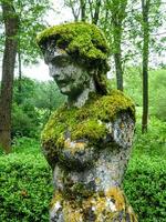 ertical shot of an old statue covered in moss in a forest photo